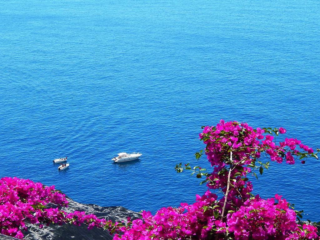 Appartamento View